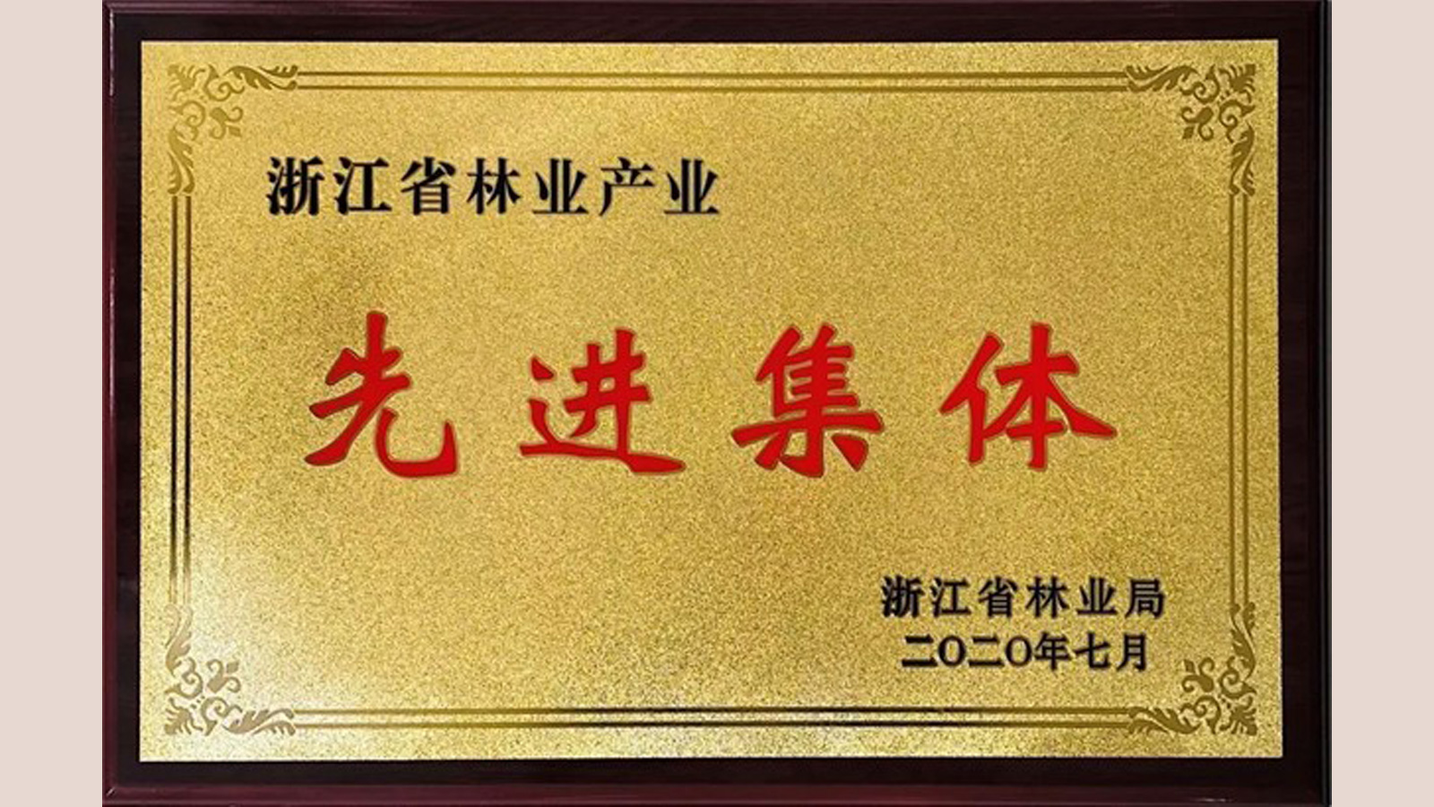 天格地板榮獲“林業(yè)產(chǎn)業(yè)先進(jìn)集體”稱號(hào)