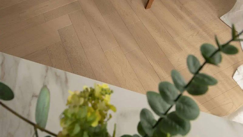 1725516609666263WDeZ.jpg 未標(biāo)題-4.jpg