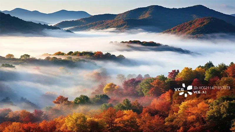 1730167304134226b7Cf.jpg 未標(biāo)題-1.jpg