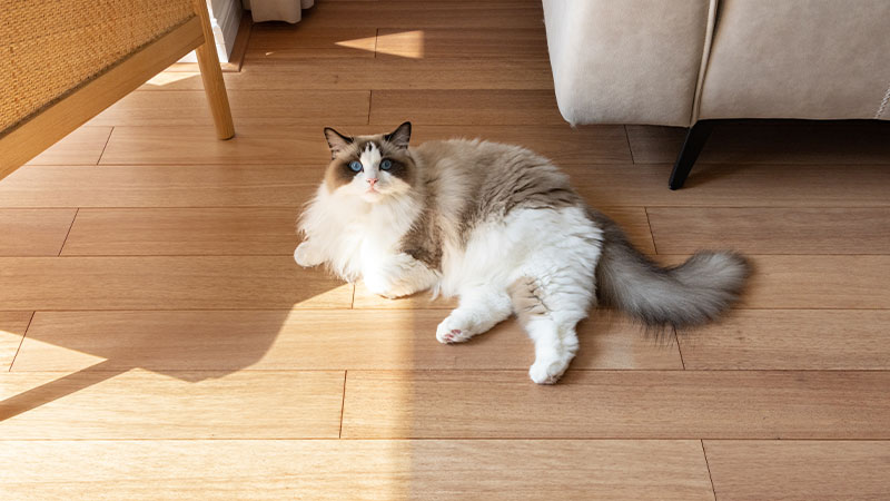 1732066794266788Ltw1.jpg 2.jpg