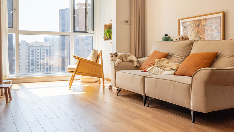 1732066961245709i0RK.jpg 1.jpg