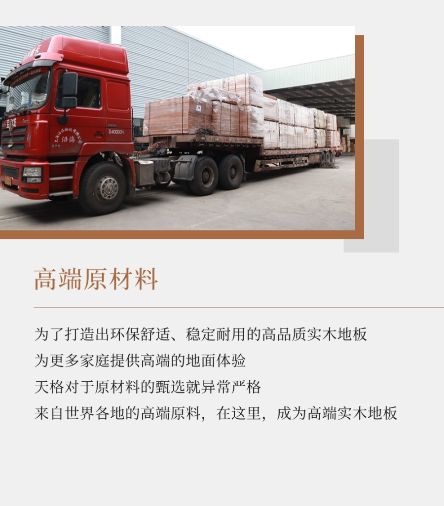 1739755514538120lSwS.png 1.png