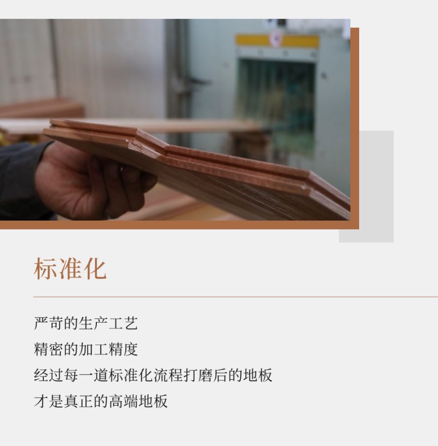 1739755532804229Kmya.png 3.png