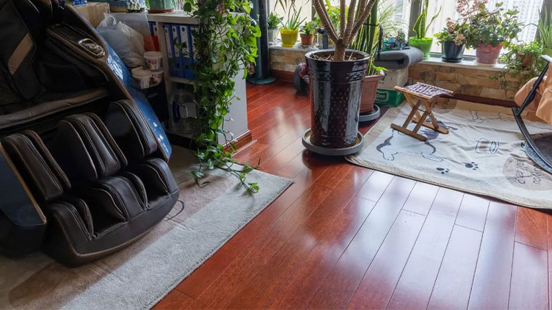 1744937751232952v5Pw.jpg 未標題-5.jpg