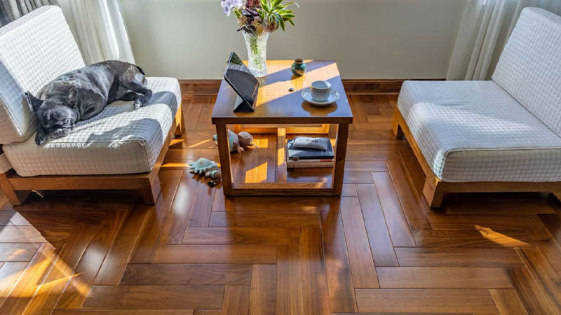 1746412777826980t5KT.jpg 未標(biāo)題-1.jpg