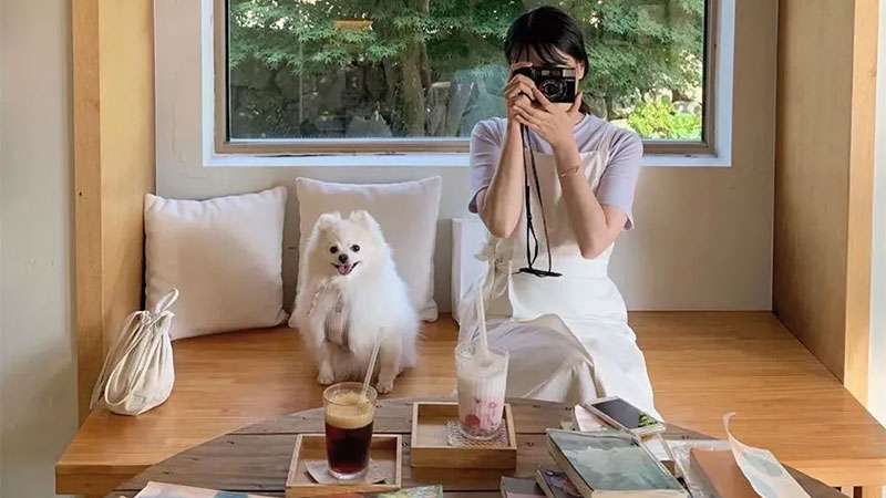 1746840673856666xP3p.jpg 未標題-1.jpg