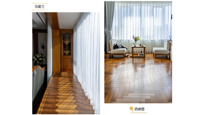 1747451264932538M4Eb.jpg 未標題-5.jpg